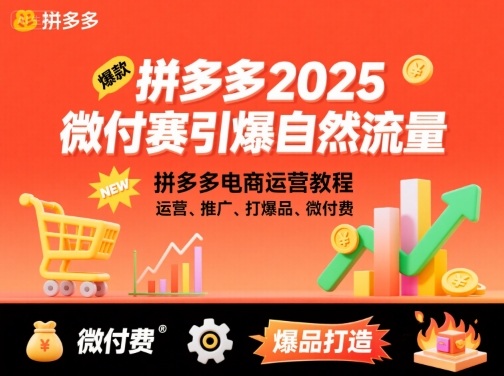 拼多多2025微付费引爆自然流量，拼多多电商运营教程，运营、推广、打爆品、微付费（更新）