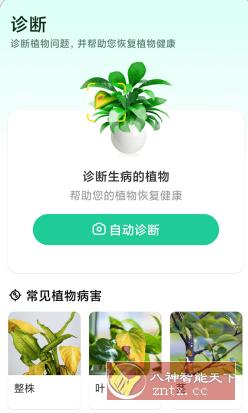 Plant Parent 植物养护v1.102高级版