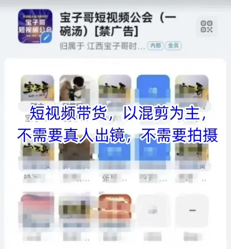 宝子哥头部团队短视频带货，以混剪为主，不需要真人出镜，不需要拍摄【更新12月】