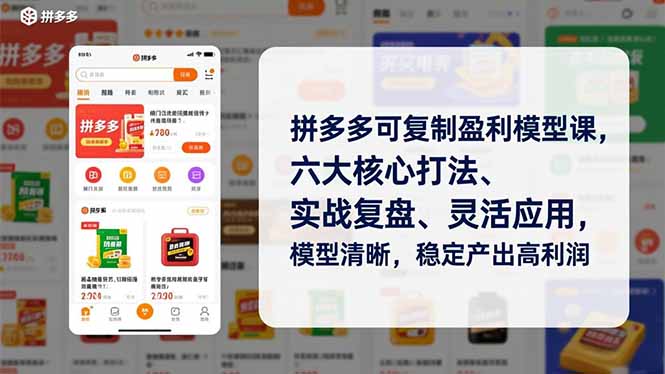 拼多多可复制盈利模型课，六大核心打法、实战复盘、灵活应用，模型清晰，稳定产出高利润