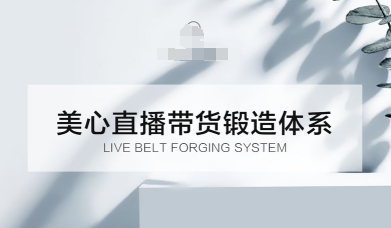 直播带货锻造体系课，5G时代美心一站式帮你开启直播带货之路【音频】